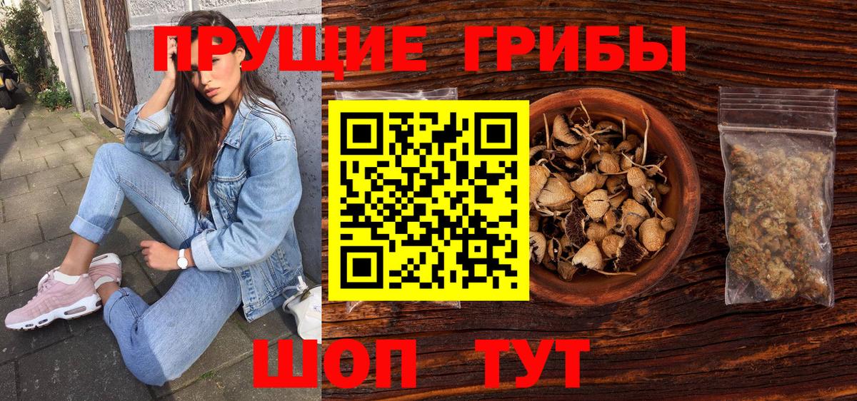 Псилоцибиновые грибы ЛСД  Псилоцибиновые грибы Psilocybe  Вход с VPN  Нижний Новгород 